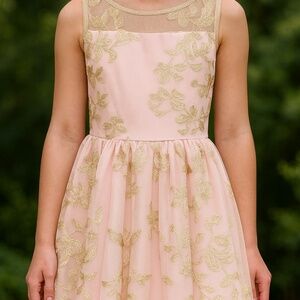 Blush Pink Gold Embroidered Party Dress – Size 12